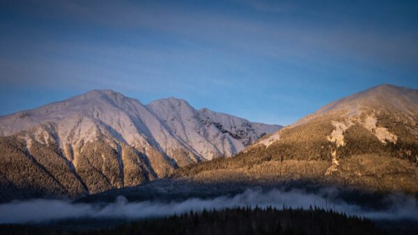 Powerful Value Proposition Shows You’re Unique